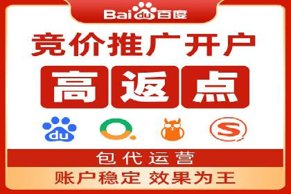 百度推广代运营公司：打造高效的网络营销团队